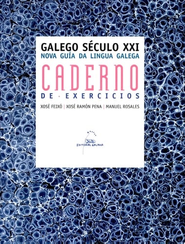 Galego século XXI nova guía da lingua galega : caderno de exercicios
