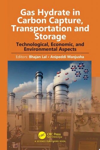 Gas Hydrate in Carbon Capture, Transportation and Storage Technological, Economic, and Environmental Aspects