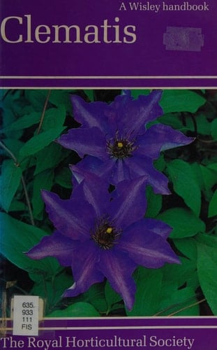 Clematis