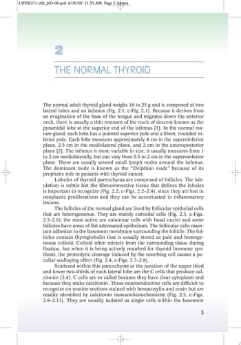 Biopsy Interpretation of the Thyroid