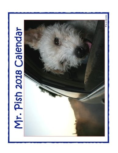 Mr. Pish 2018 Calendar