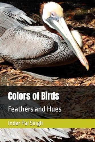 Colors of Birds: Feathers and Hues