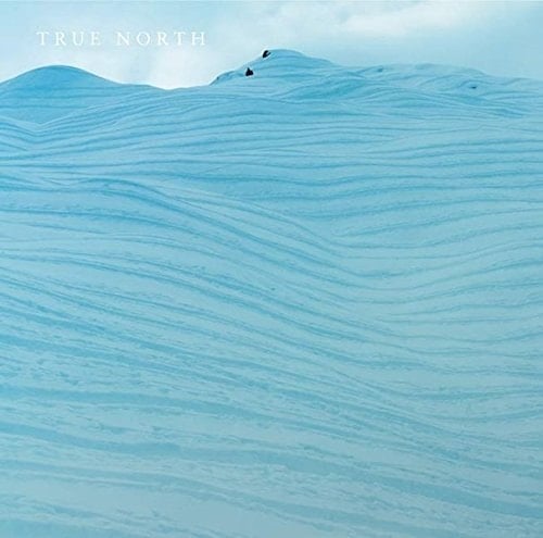 True north Anlaesslich der Ausstellung True North , Deutsche Guggenheim, Berlin, 2. Februar - 13. April 2008