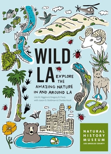 Wild LA Explore the Amazing Nature in and Around Los Angeles