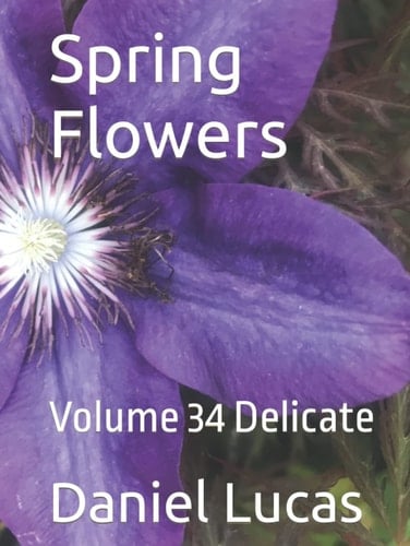 Spring Flowers: Volume 34 Delicate
