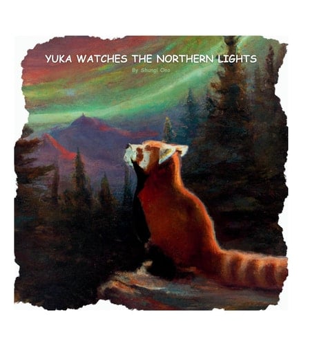 Yuka Watches the Northern Lights