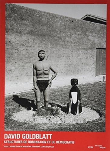 David Goldblatt : structures de domination et de démocratie
