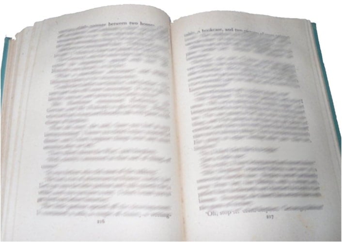 The Wild (Picture Lions)