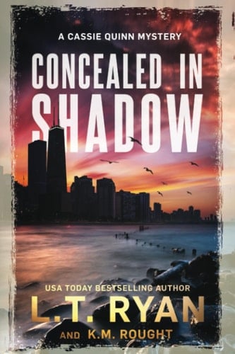 Concealed in Shadow A Cassie Quinn Mystery