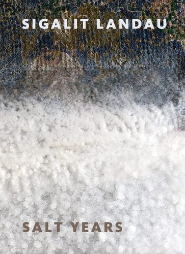 Sigalit Landau Salt Years