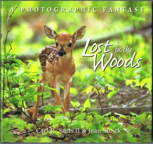 Lost in the Woods A Photographic Fantasy