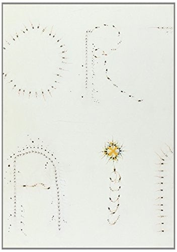 Charo Garaigorta - aireportuak - aeropuertos