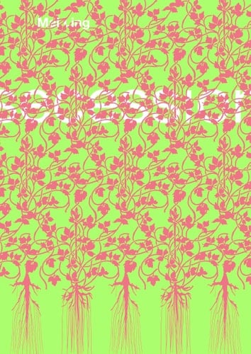 Mai Ling - not your ornament