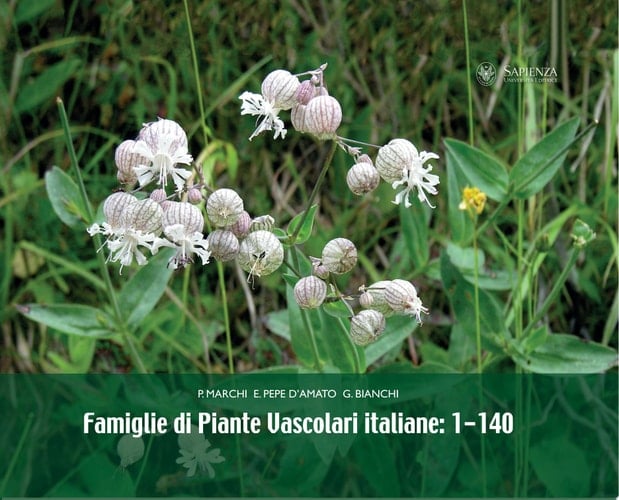 Famiglie di piante vascolari italiane 1-140