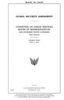 Global Security Assessment