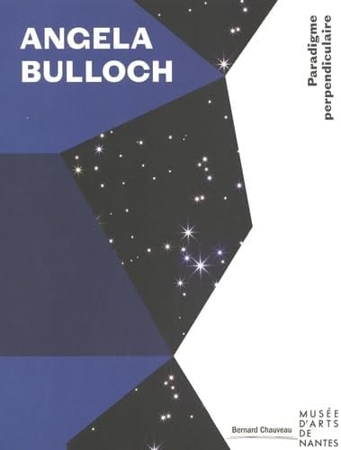 Angela Bulloch paradigme perpendiculaire