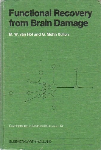 Functional Recovery from Brain Damage