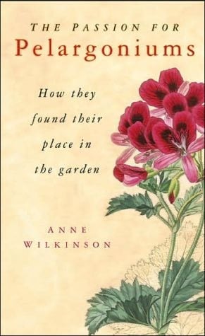 The Passion for Pelargoniums How They Found Their Place in the Garden
