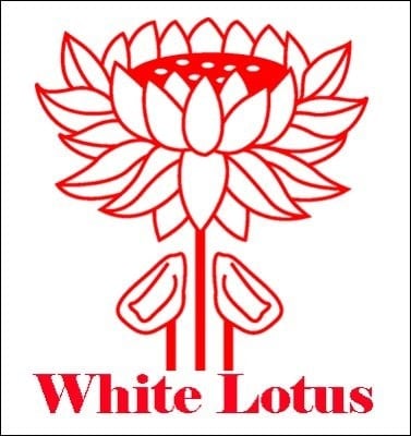 The Translation of Things Past Chinese History and Historiography