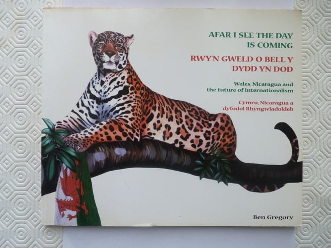 Afar I See the Day is Coming