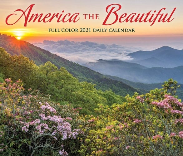 Poster: Asterix Calling All