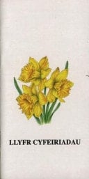 Llyfr Cyfeiriadau - Cennin Pedr