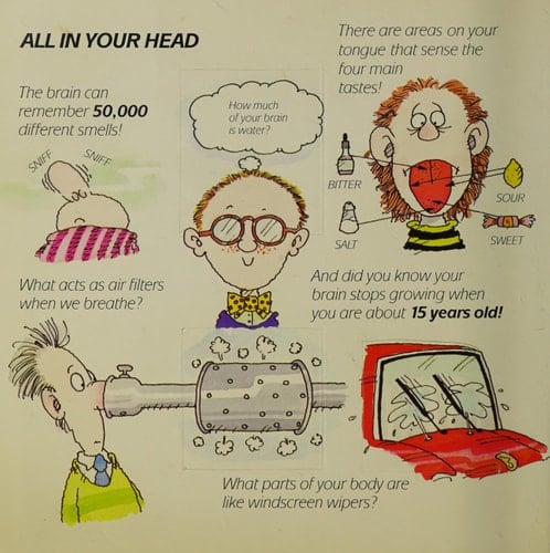 Fascinating facts about your body: A flap book full of surprises!