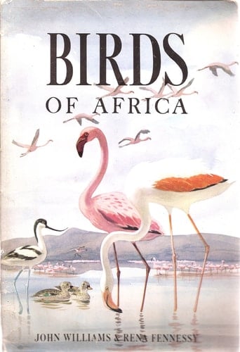 Birds of Africa