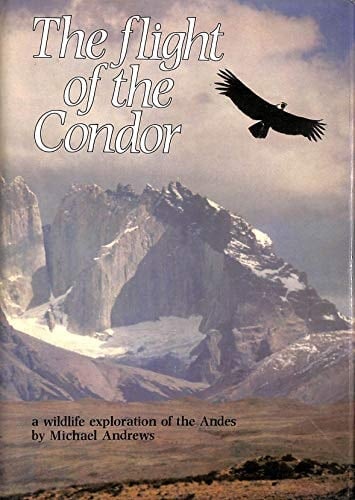 Flight of the Condor