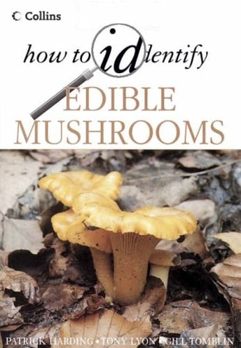 How to Identify Edible Mushrooms