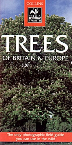 Trees: Of Britain & Europe (Collins Wild Guide)