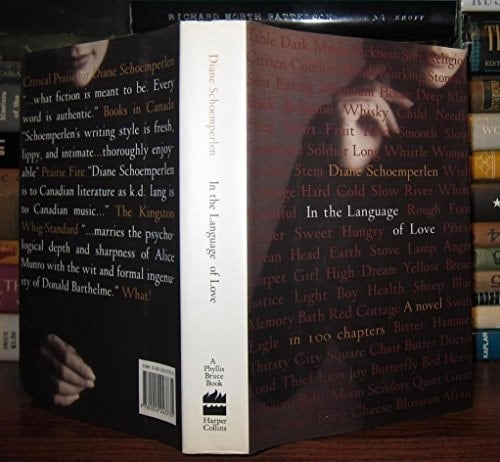 In the language of love: A novel in 100 chapters