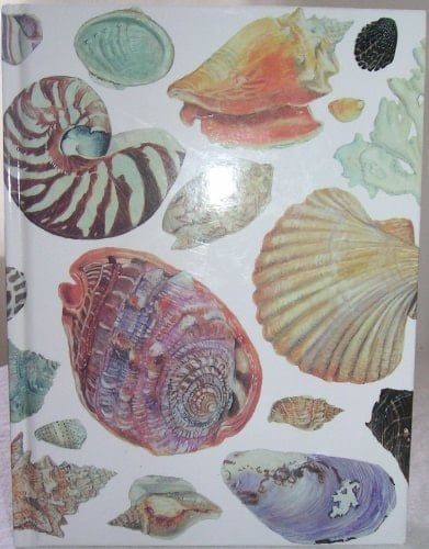 Shells Blank Journal