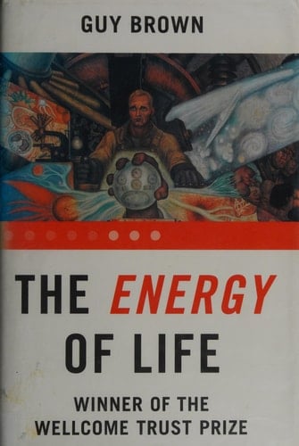 The Energy of Life