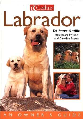 Labrador: An Owner's Guide