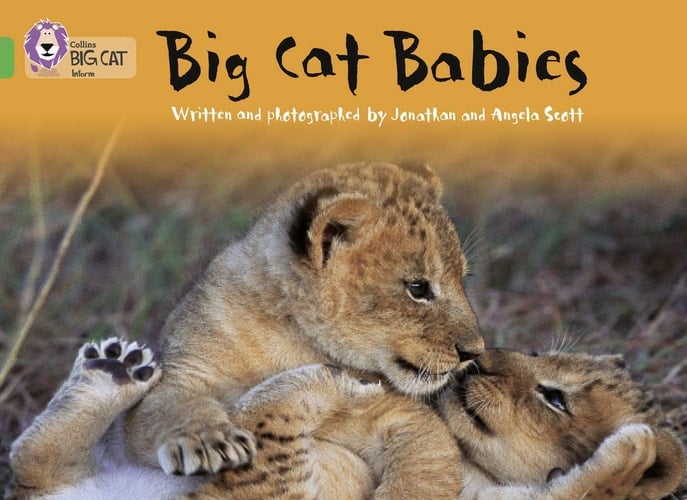 Big Cat Babies (Collins Big Cat)