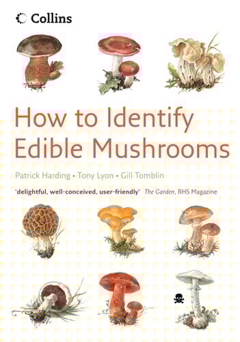 How To Identify Edible Mushrooms