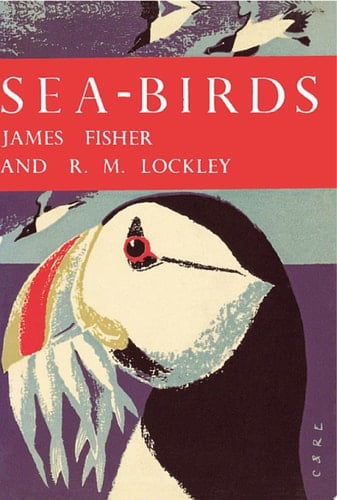 Sea-Birds (Collins New Naturalist Library, Book 28)