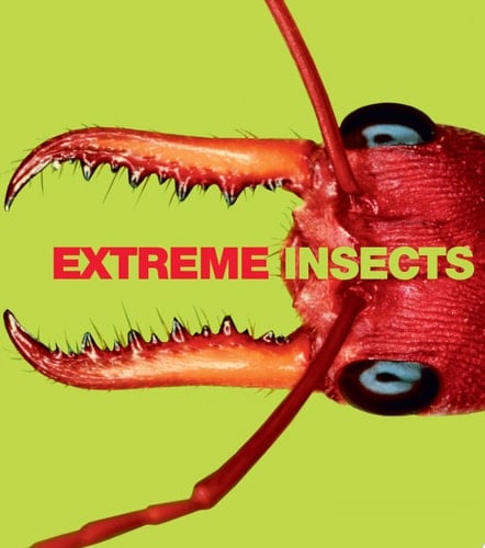 Extreme Insects