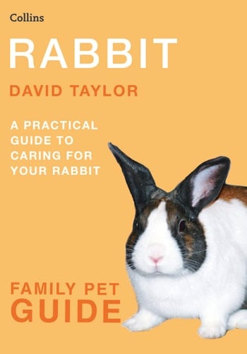 Rabbit (Collins Family Pet Guide) (Family Pet Guides)