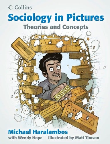 Sociology in Picturestheories and Concepts