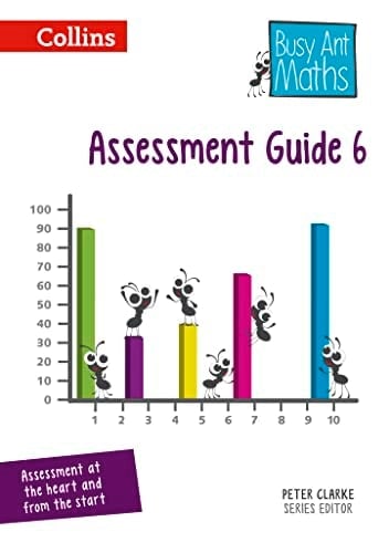 Busy Ant Maths ― Assessment Guide 6