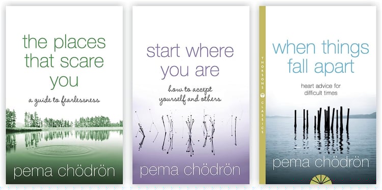 Pema Chodron 3 Books Collection Set (When Things Fall Apart, Start Where You Are & The Places That Scare You)
