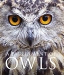 Parliament Of Owls