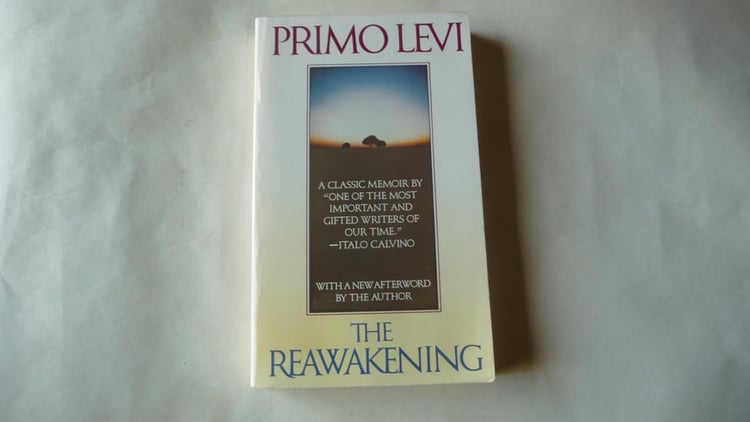The Reawakening