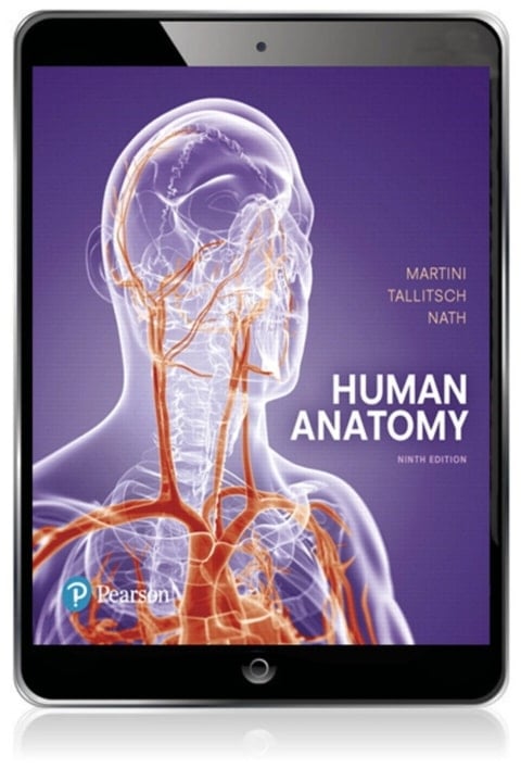 Human Anatomy (Pearson+)