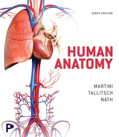 Human Anatomy (Pearson+)