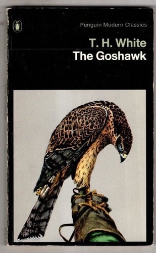 The Goshawk