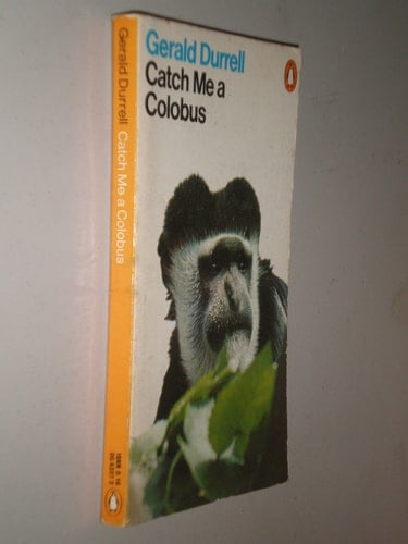 Catch Me a Colobus