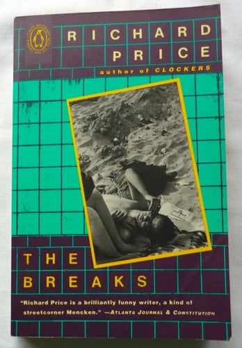 The Breaks (The Penguin Contemporary American Fiction Series)